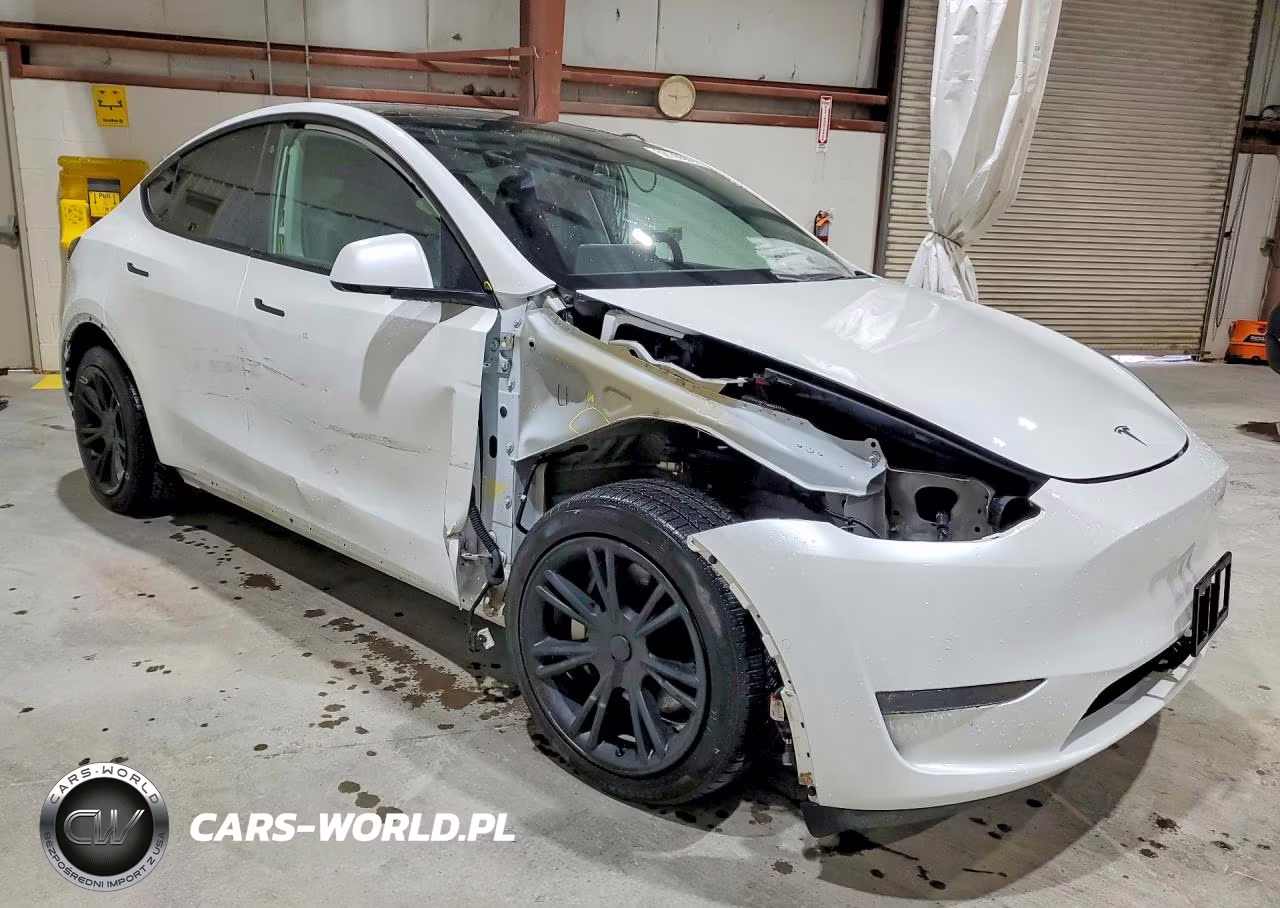 2020 Tesla Model Y VIN:5YJYGDEF6LF017295 - 4
