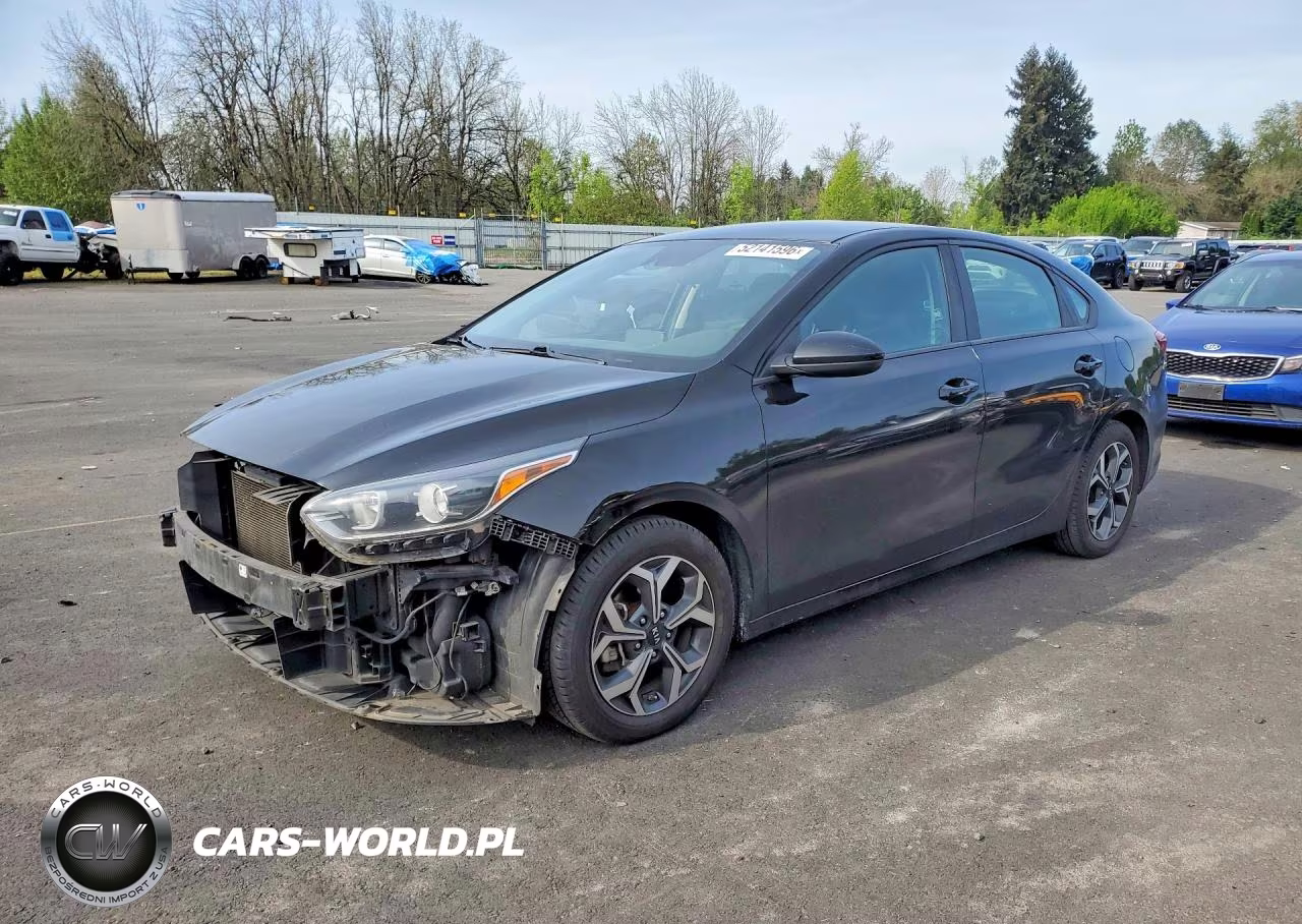 2019 Kia Forte Lxs