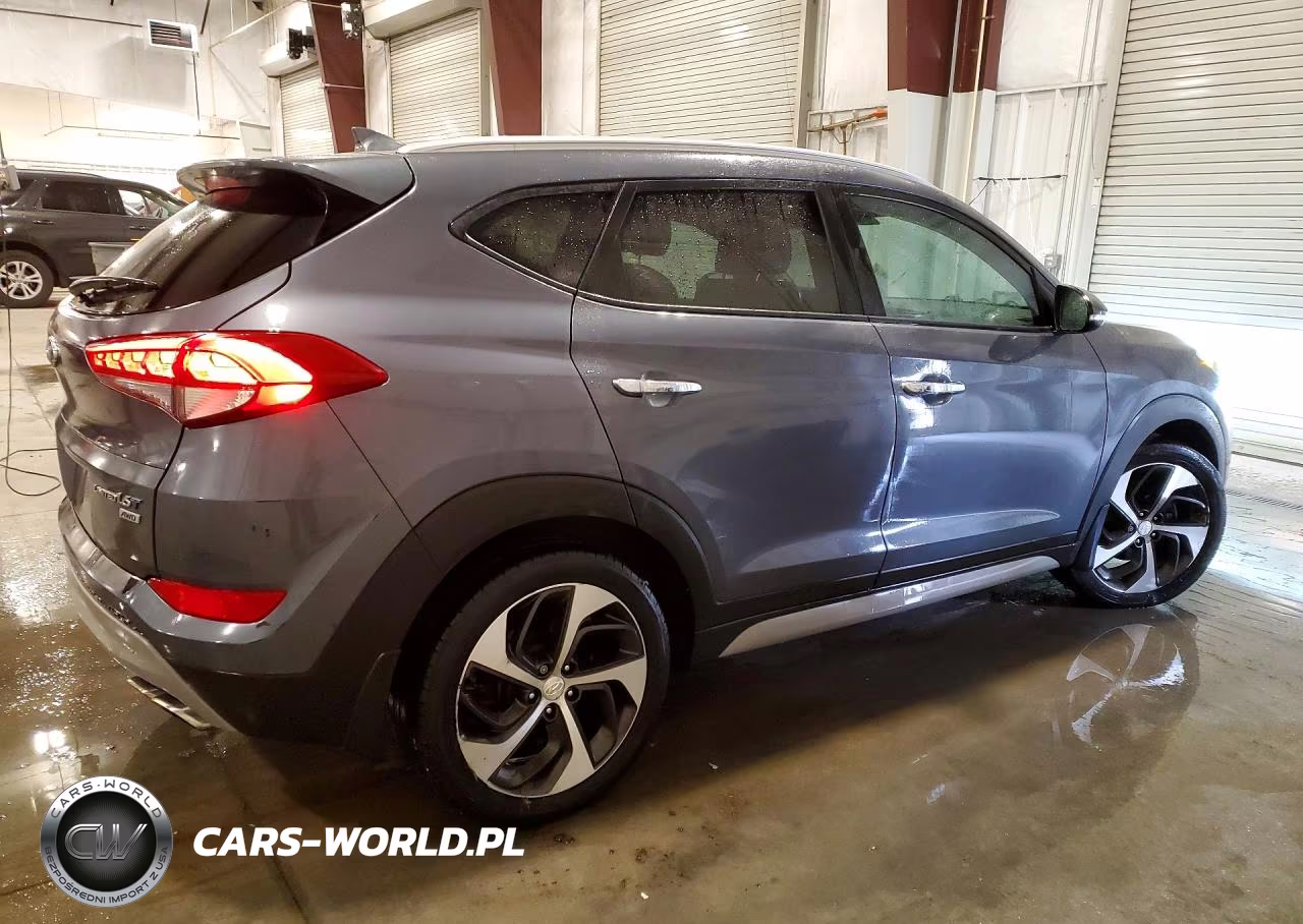 2017 Hyundai Tucson Limited VIN:KM8J3CA24HU388153 - 3