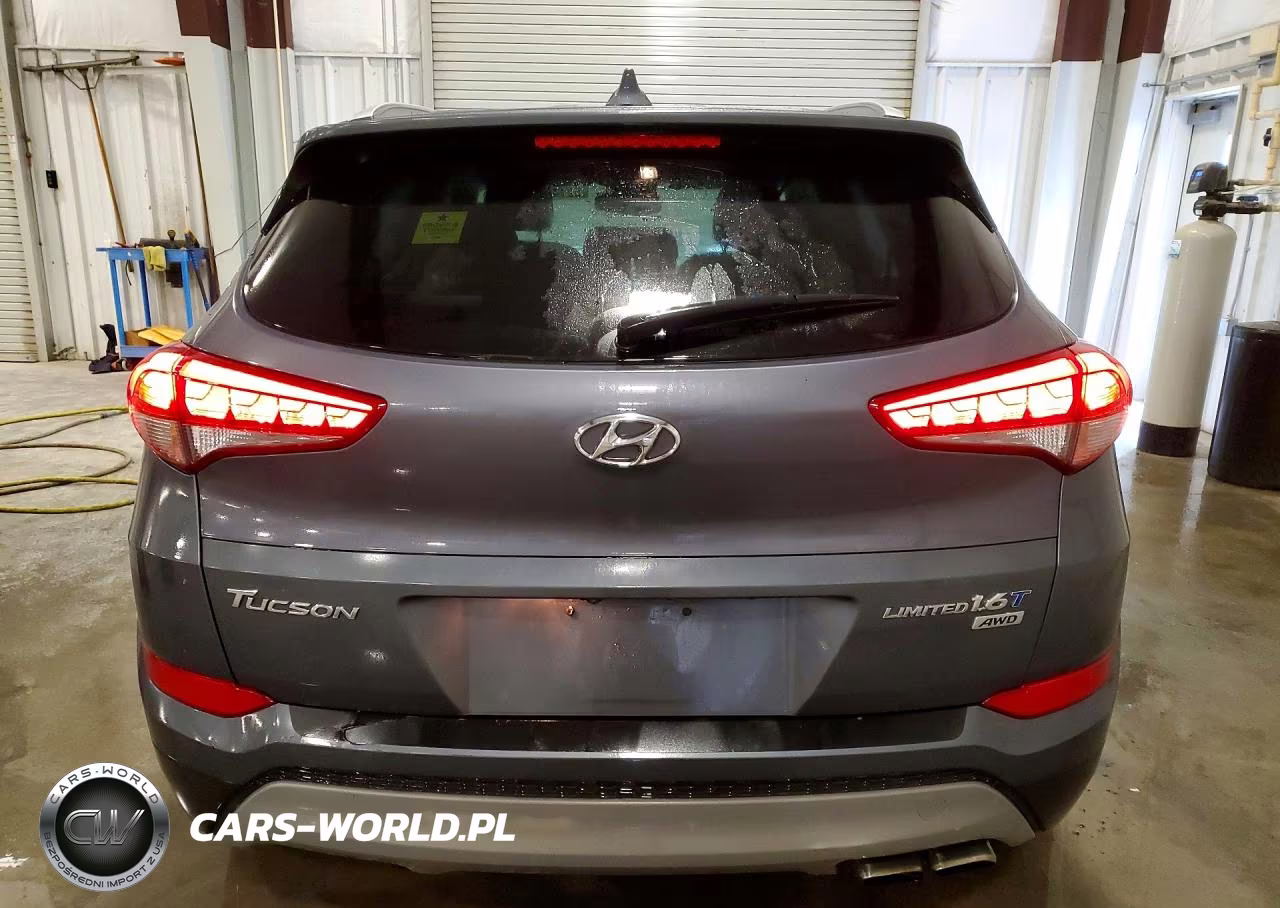 2017 Hyundai Tucson Limited VIN:KM8J3CA24HU388153 - 6
