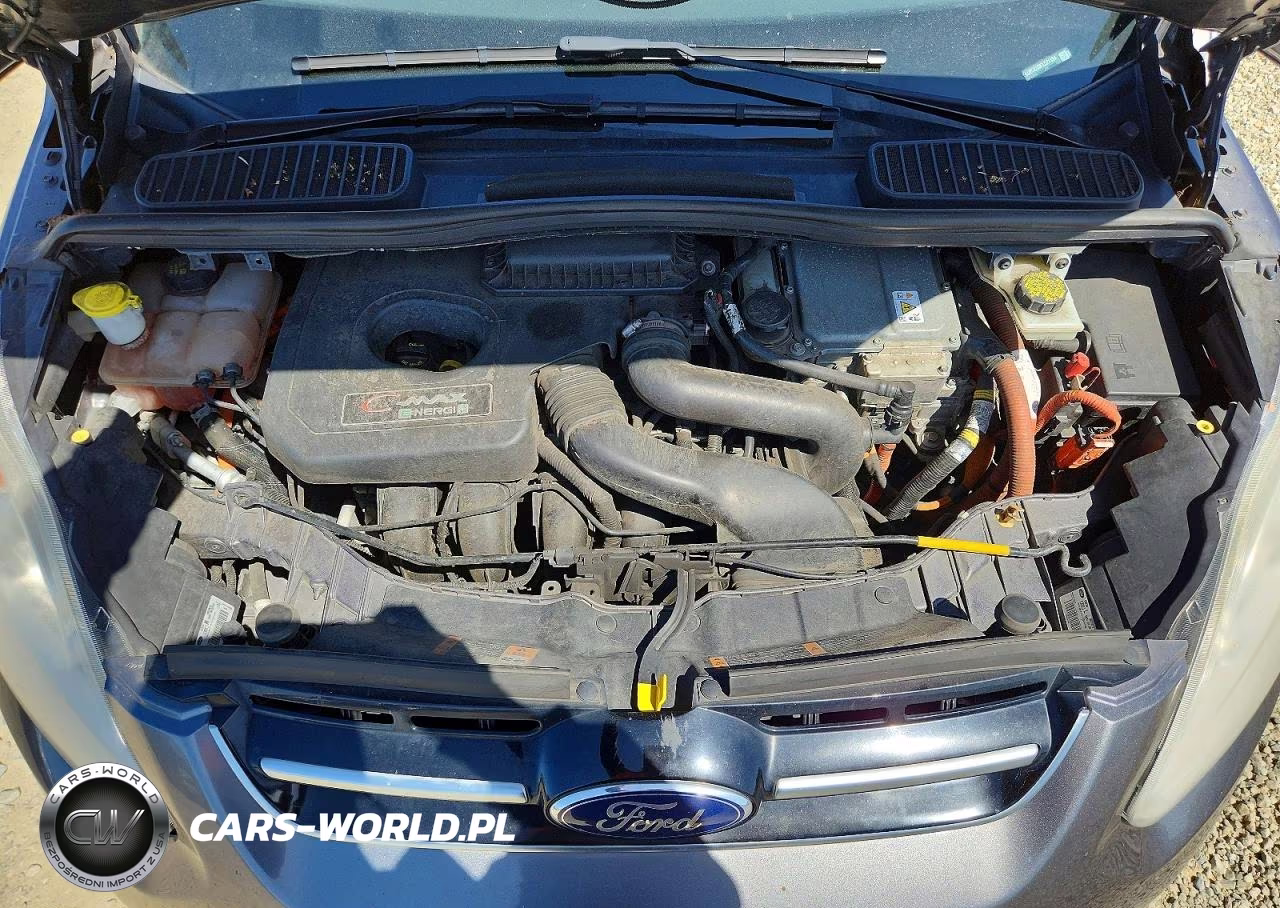 2014 Ford C-Max Premium VIN:1FADP5CU0EL521434 - 11