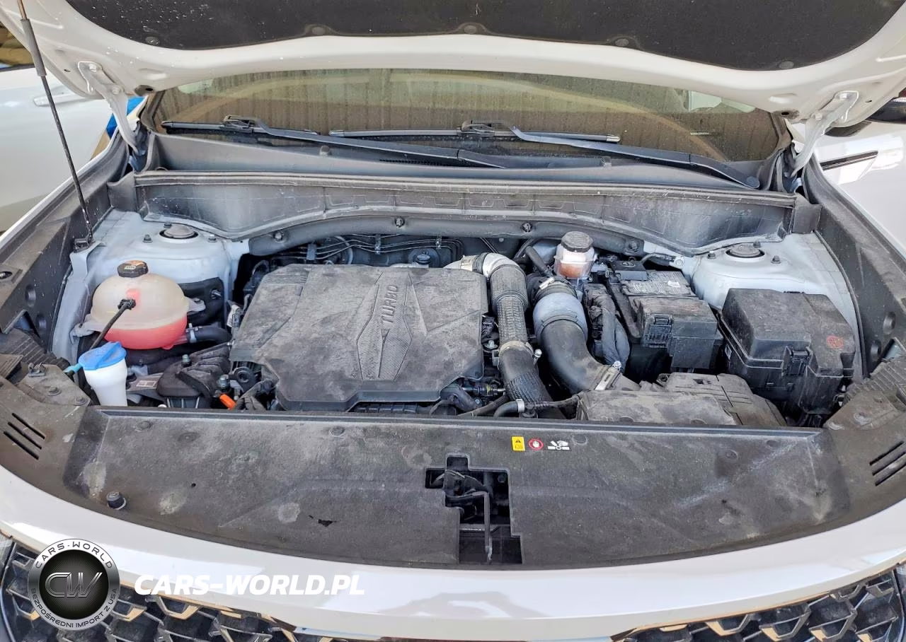 2023 Kia Sorento Sx VIN:5XYRK4LF9PG197652 - 12