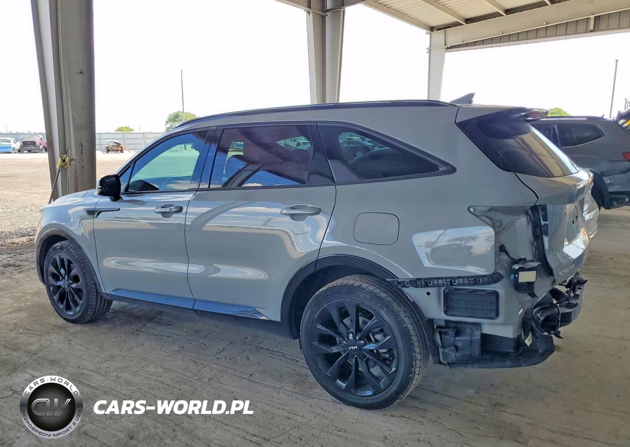 2023 Kia Sorento Sx VIN:5XYRK4LF9PG197652 - 2
