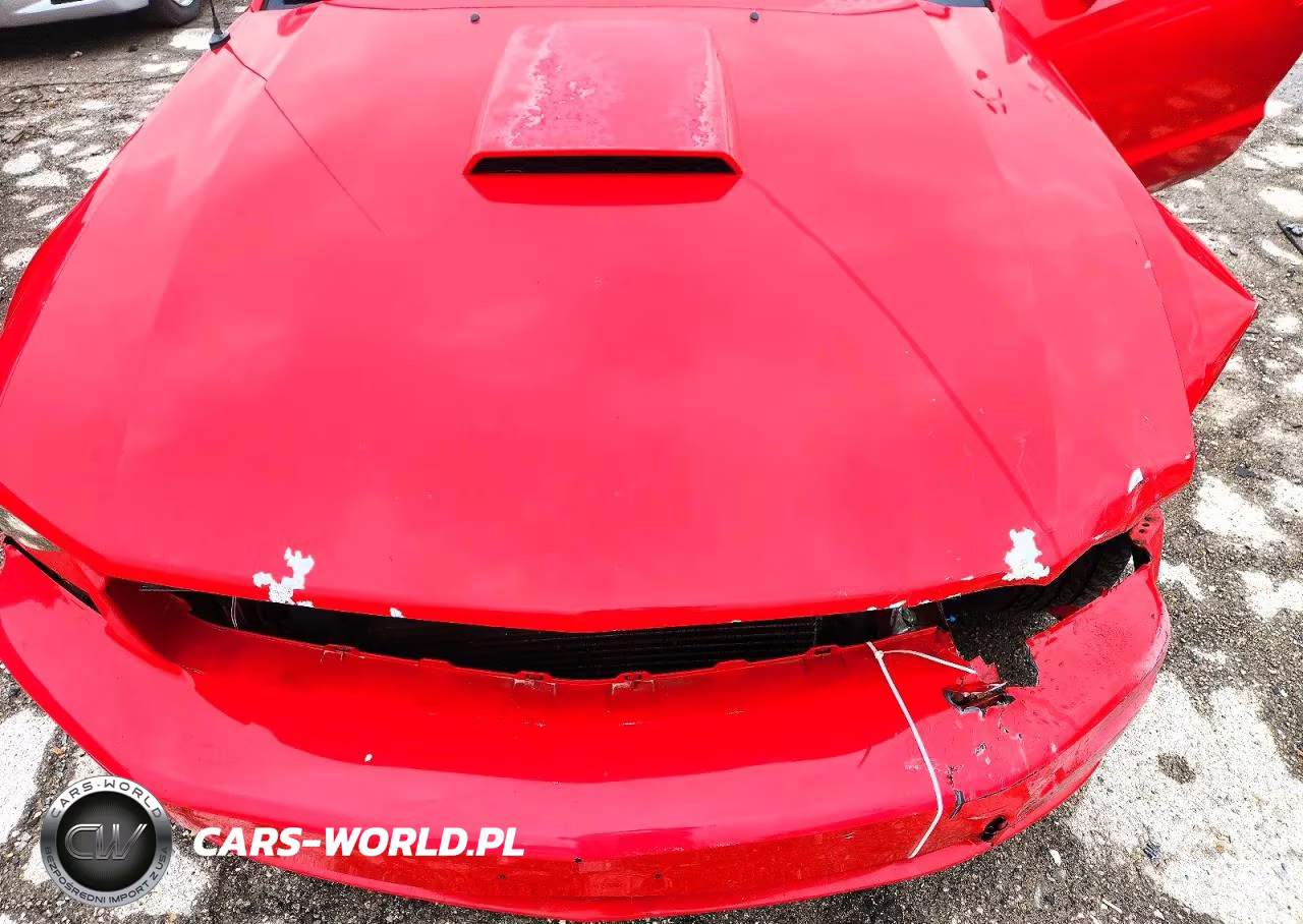2007 Ford Mustang Gt VIN:1ZVFT85H075317284 - 11