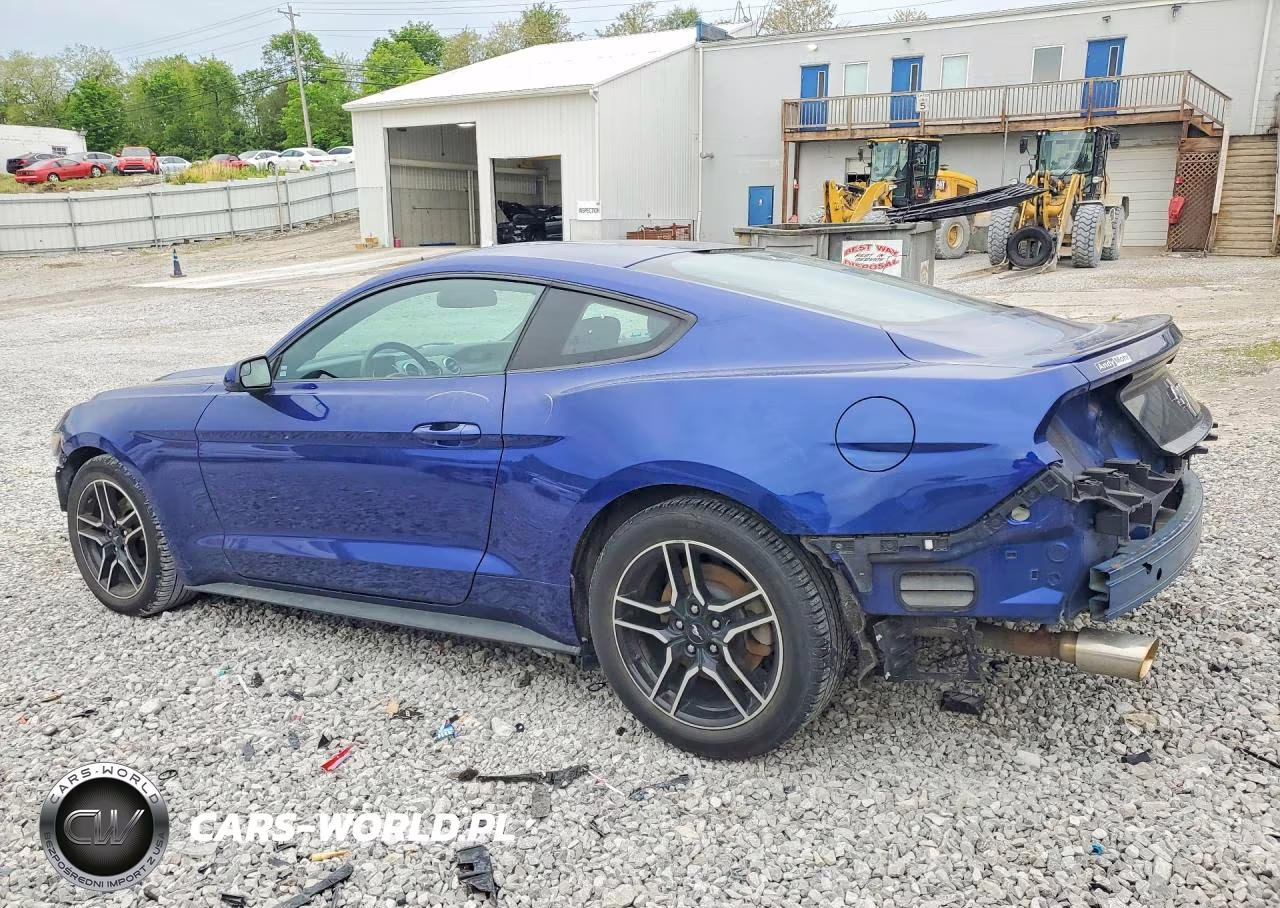 2016 Ford Mustang VIN:1FA6P8AM7G5271288 - 2