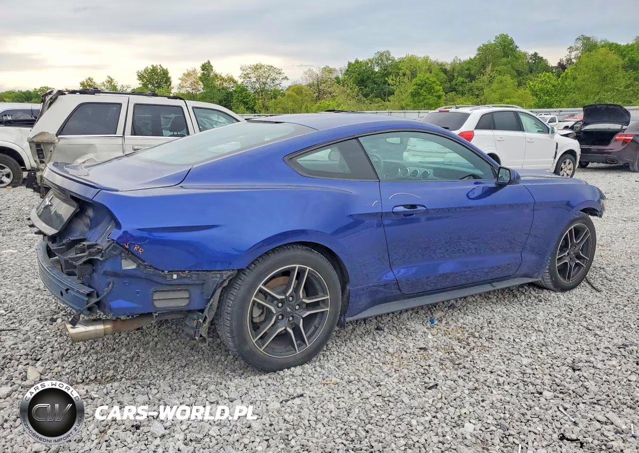 2016 Ford Mustang VIN:1FA6P8AM7G5271288 - 3