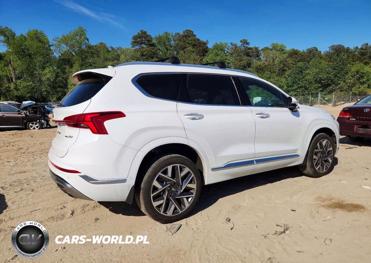 2022 Hyundai Santa Fe Calligraphy VIN:5NMS5DAL2NH439587 - 3