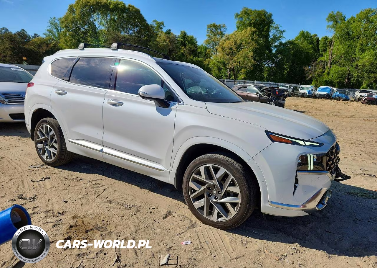 2022 Hyundai Santa Fe Calligraphy VIN:5NMS5DAL2NH439587 - 4