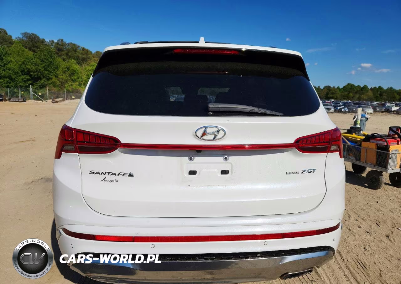 2022 Hyundai Santa Fe Calligraphy VIN:5NMS5DAL2NH439587 - 6