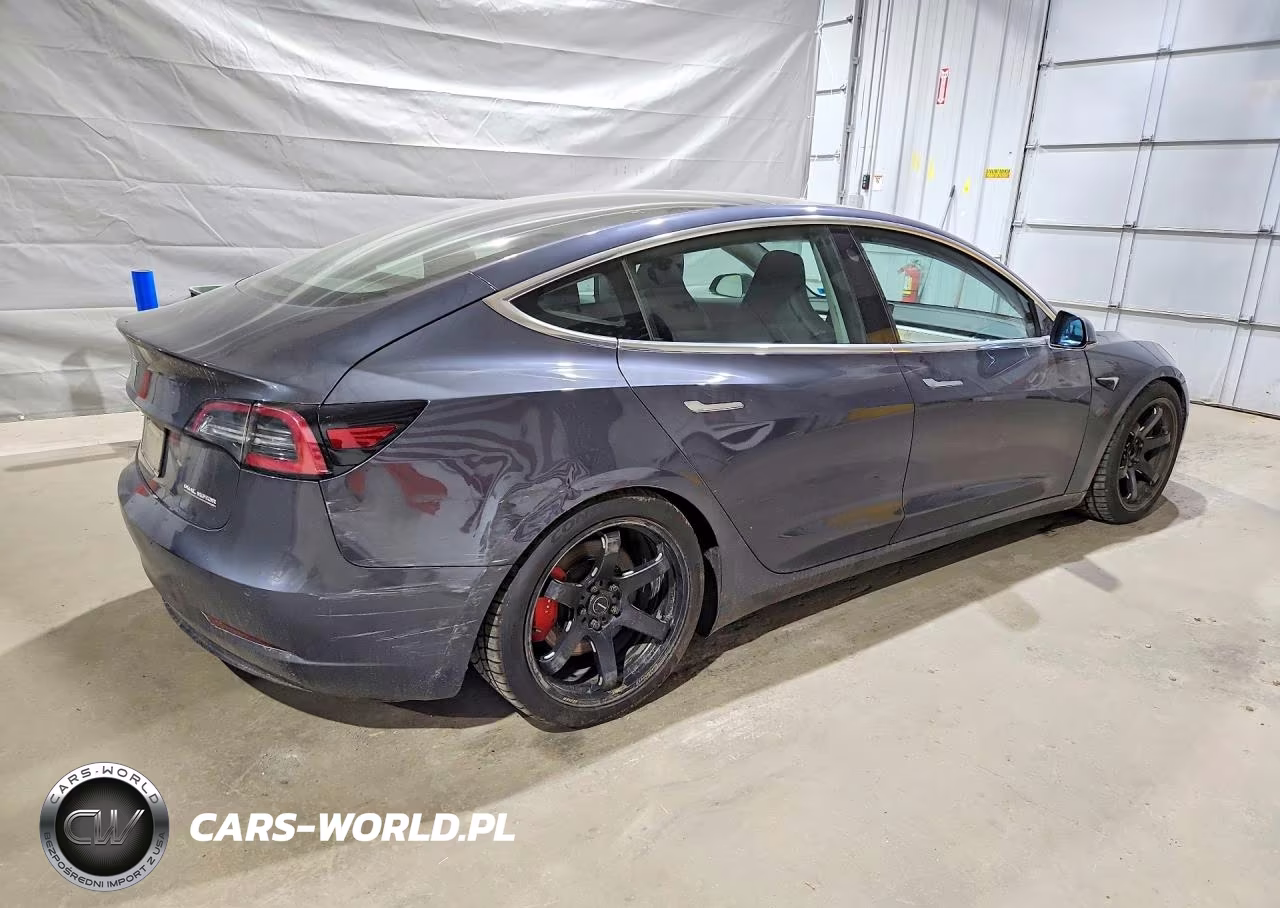 2019 Tesla Model 3 VIN:5YJ3E1EB9KF469641 - 3