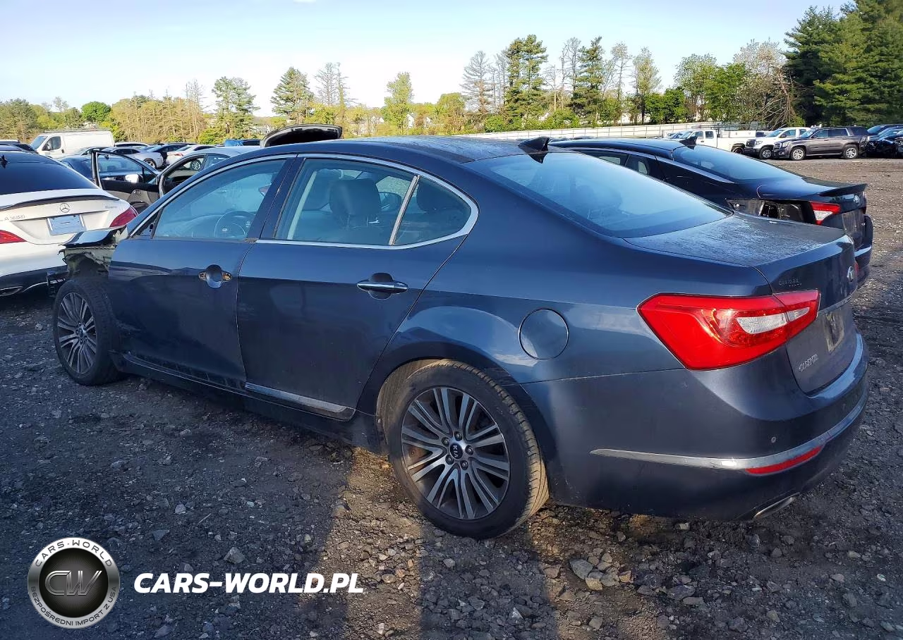 2015 Kia Cadenza Premium VIN:KNALN4D76F5176833 - 2