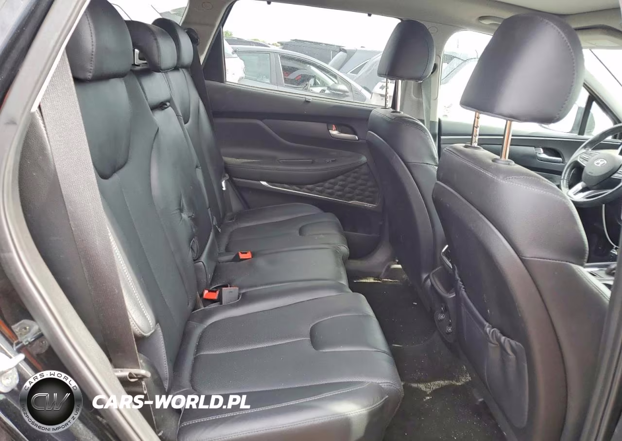 2020 Hyundai Santa Fe Sel 2.0T VIN:5NMS3CAA0LH305740 - 10