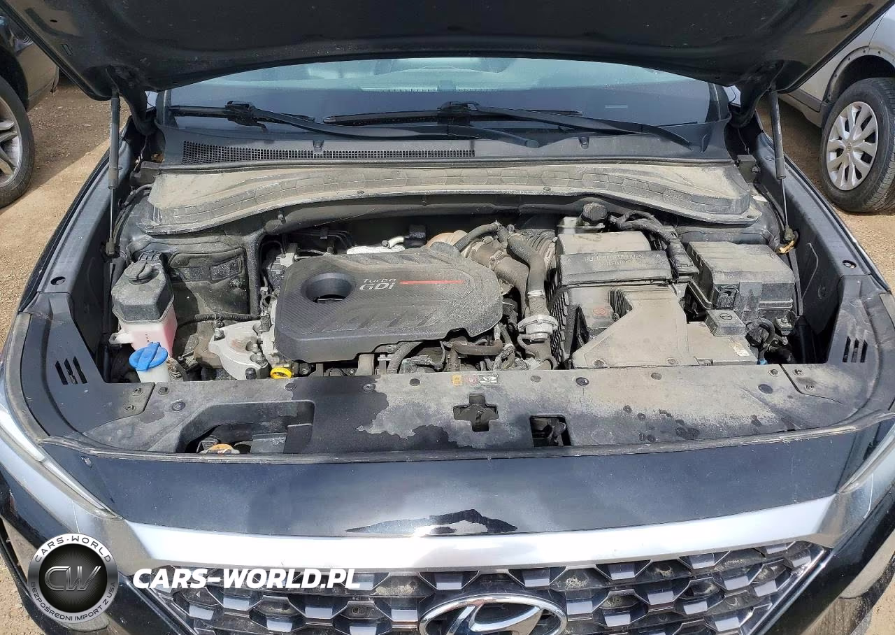 2020 Hyundai Santa Fe Sel 2.0T VIN:5NMS3CAA0LH305740 - 11