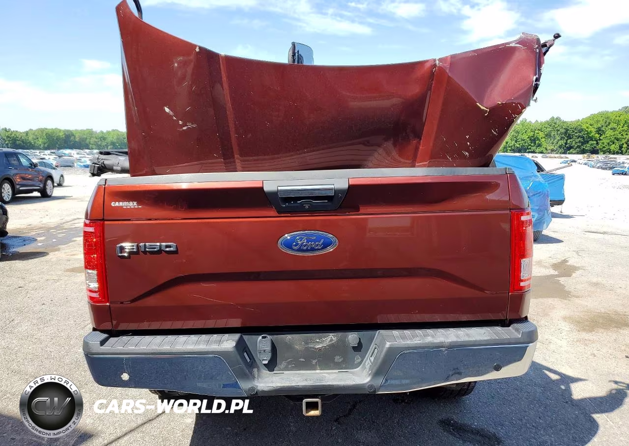 2017 Ford F150 Supercrew VIN:1FTEW1EGXHKD52373 - 6