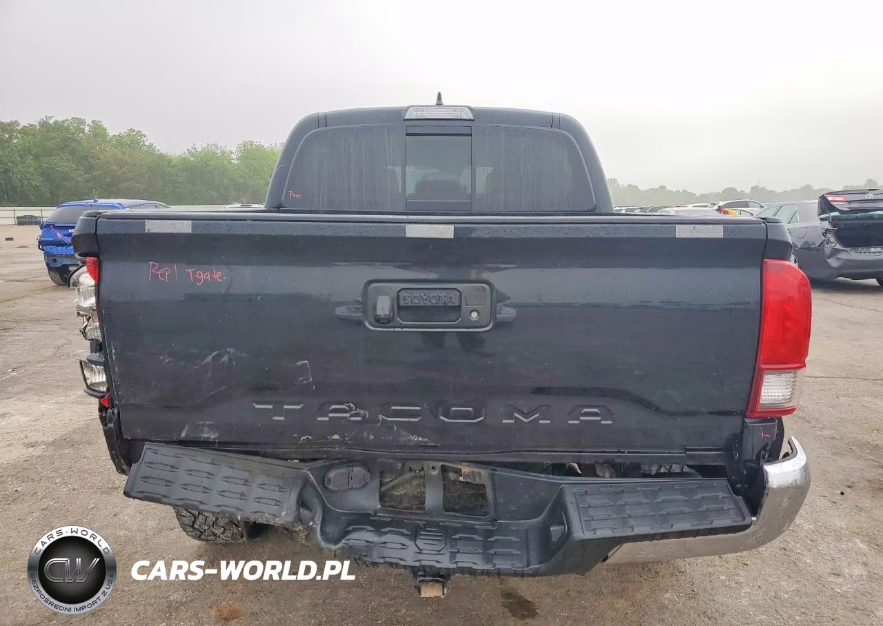 2019 Toyota Tacoma Trd Off-Road VIN:3TMCZ5AN9KM194800 - 6