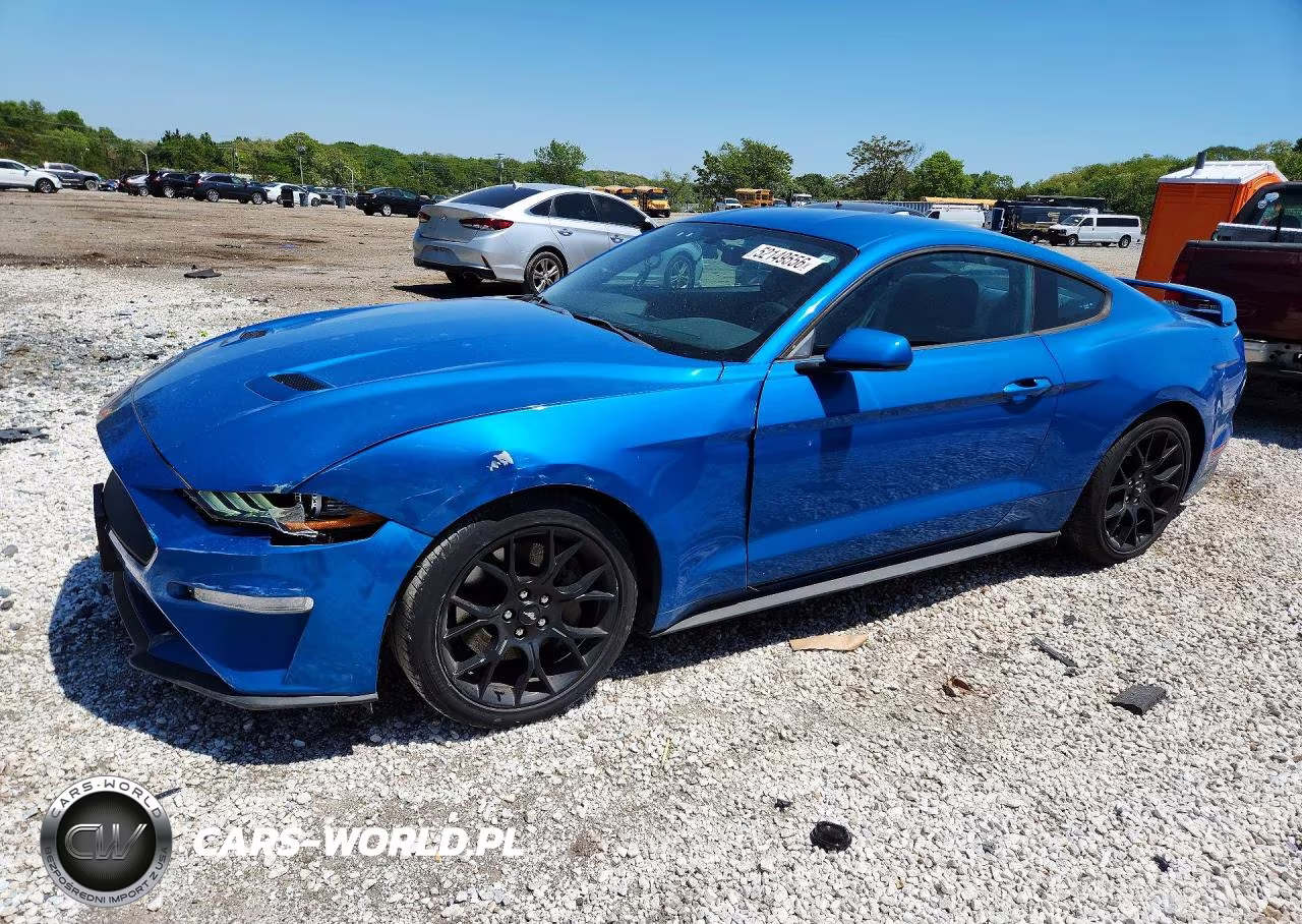 2019 Ford Mustang