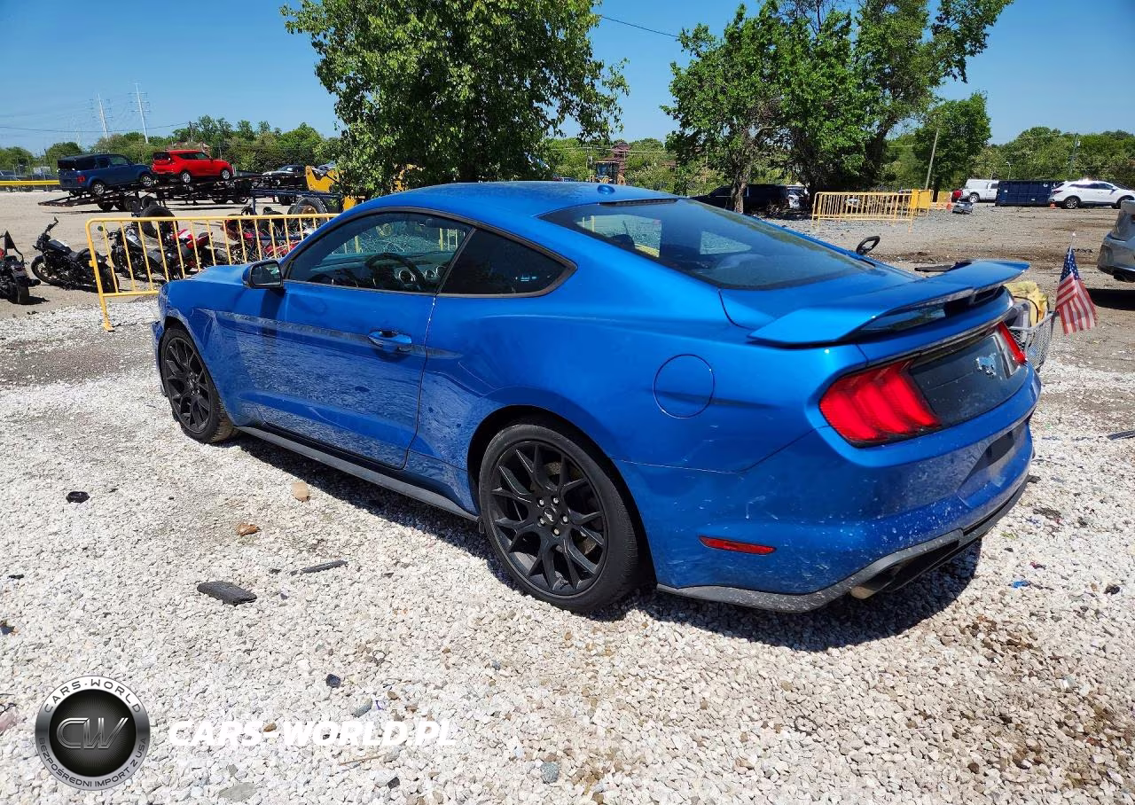 2019 Ford Mustang VIN:1FA6P8TH8K5189370 - 2