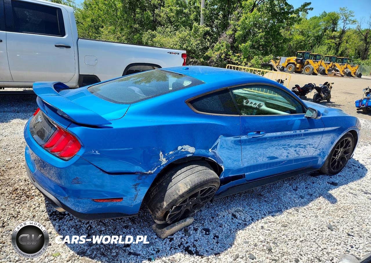 2019 Ford Mustang VIN:1FA6P8TH8K5189370 - 3