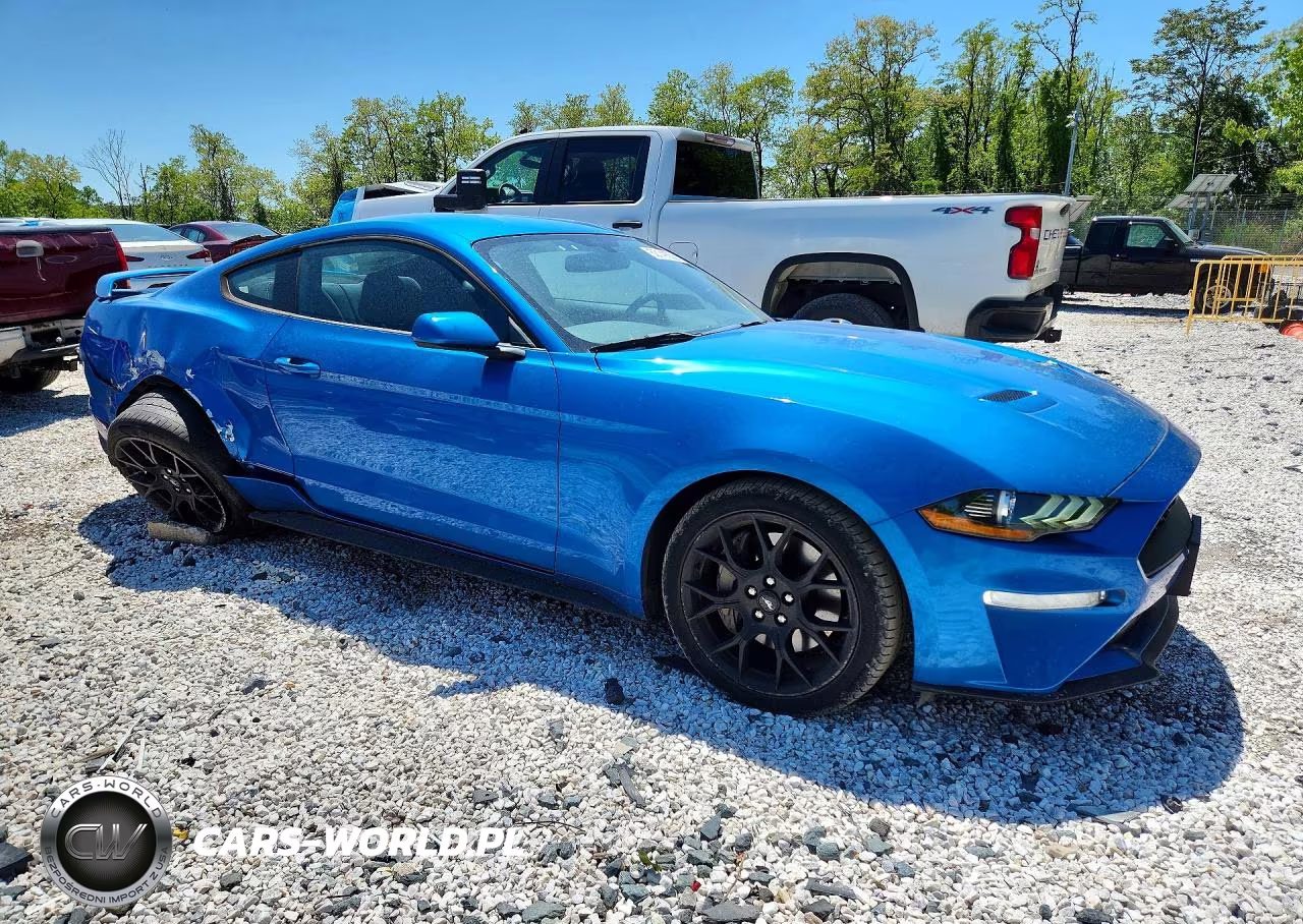 2019 Ford Mustang VIN:1FA6P8TH8K5189370 - 4