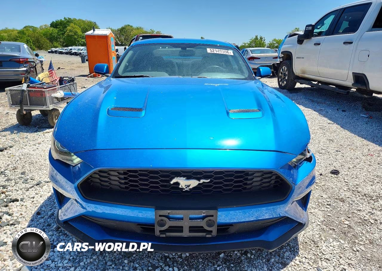 2019 Ford Mustang VIN:1FA6P8TH8K5189370 - 5