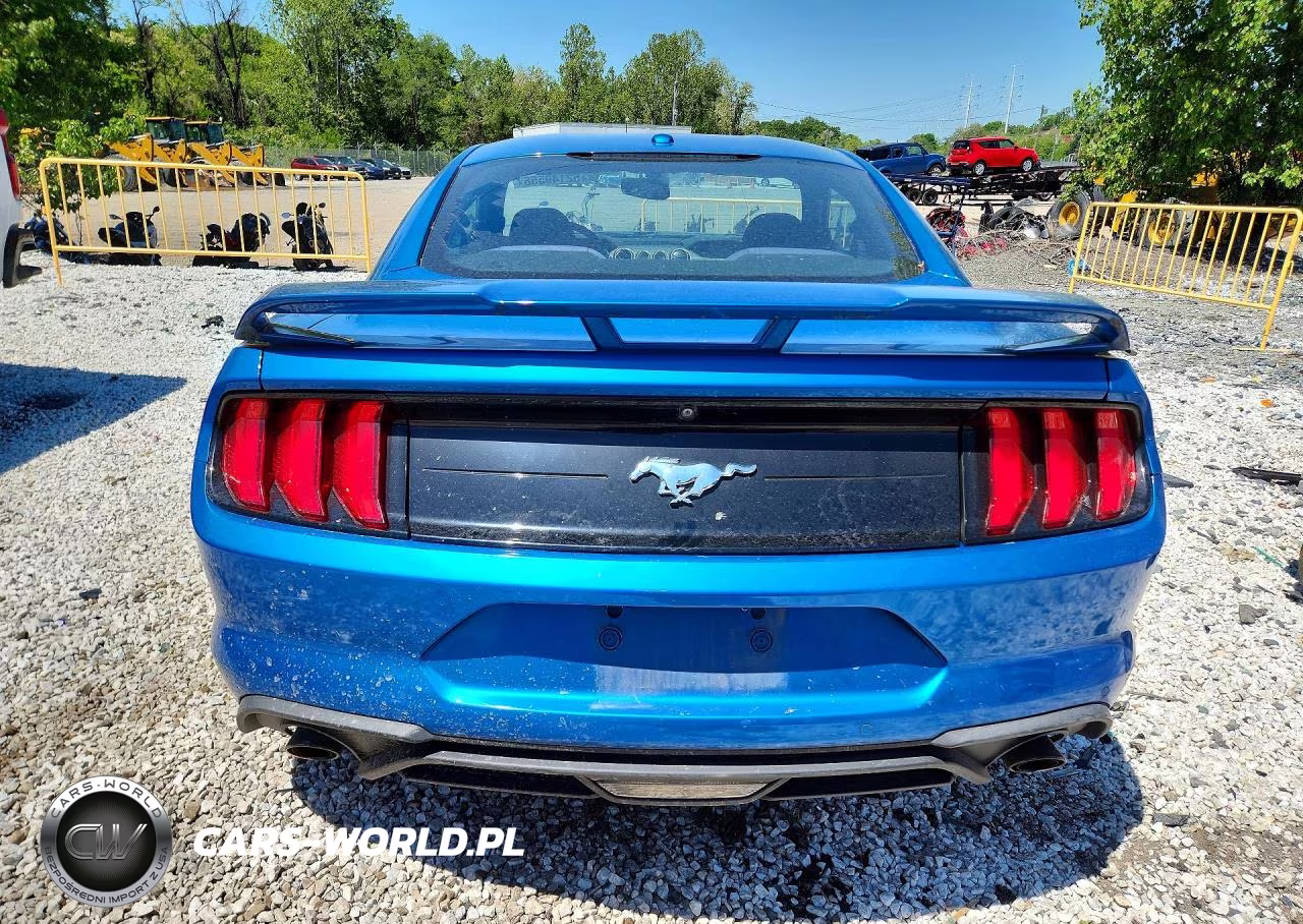 2019 Ford Mustang VIN:1FA6P8TH8K5189370 - 6