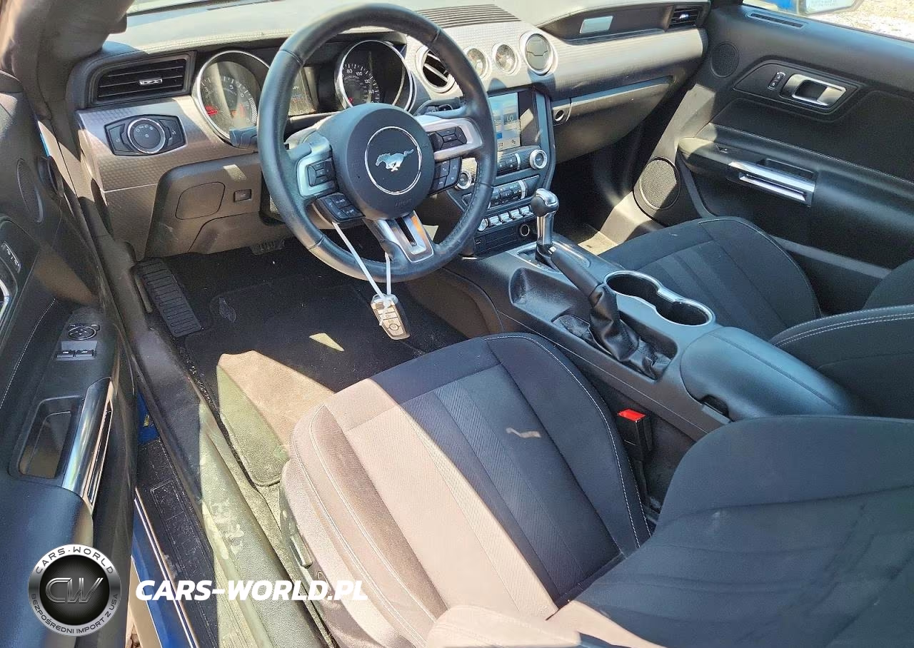 2019 Ford Mustang VIN:1FA6P8TH8K5189370 - 8