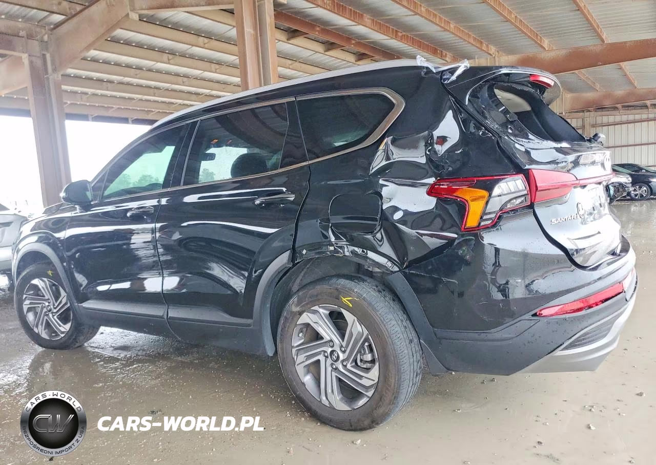 2023 Hyundai Santa Fe Sel VIN:5NMS24AJ6PH656781 - 2