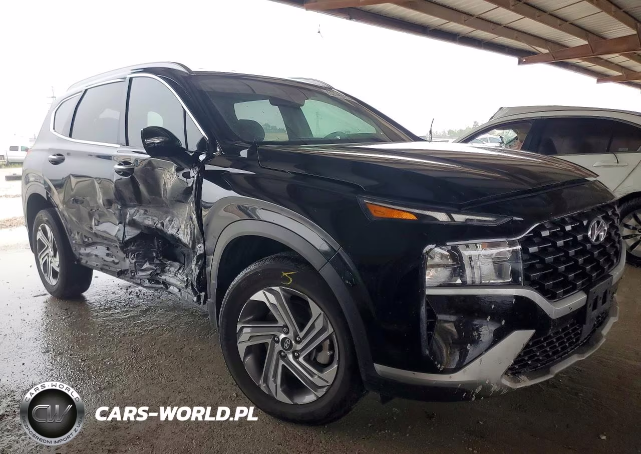 2023 Hyundai Santa Fe Sel VIN:5NMS24AJ6PH656781 - 4