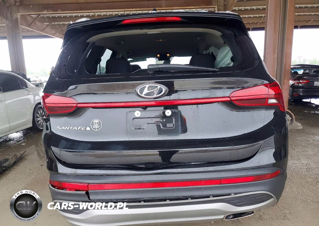 2023 Hyundai Santa Fe Sel VIN:5NMS24AJ6PH656781 - 6