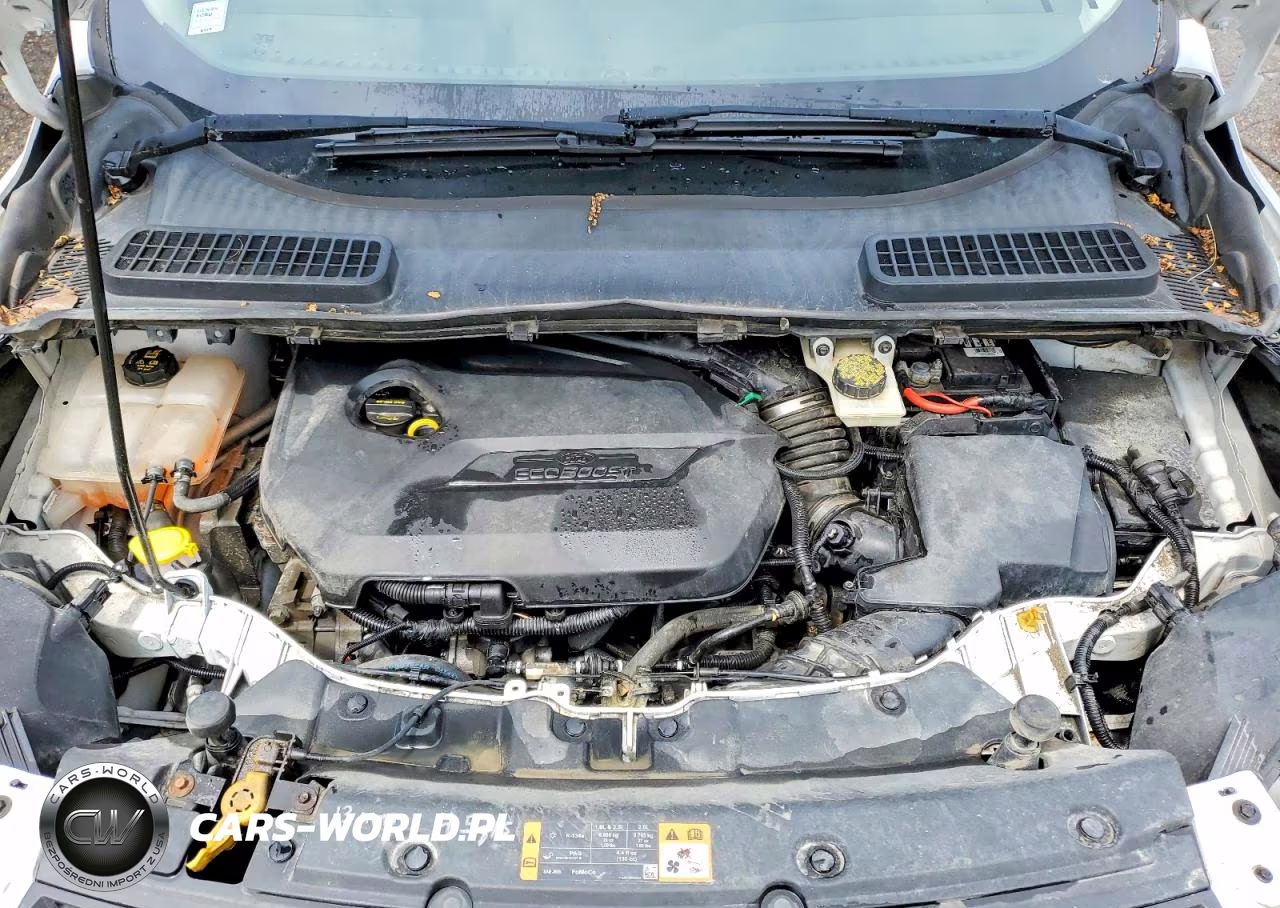 2014 Ford Escape Se VIN:1FMCU9GX1EUD19685 - 12