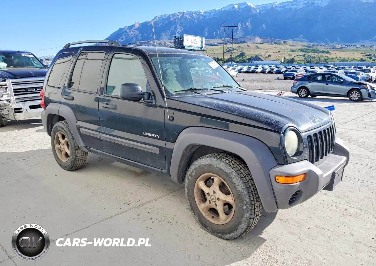 2004 Jeep Liberty Sport VIN:1J4GL48K64W245935 - 4
