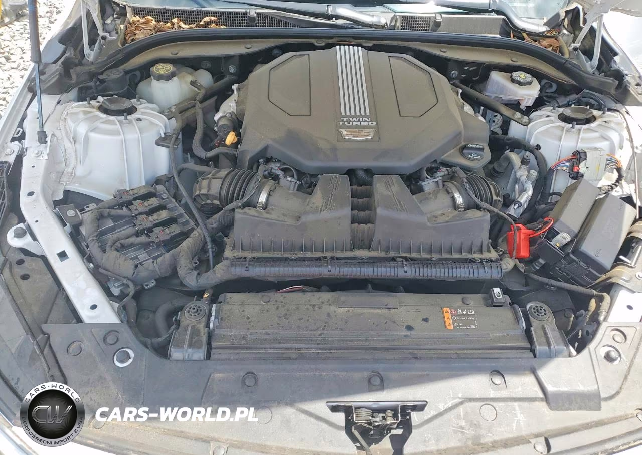 2021 Cadillac Ct5 Premium Luxury VIN:1G6DN5RW2M0120544 - 11