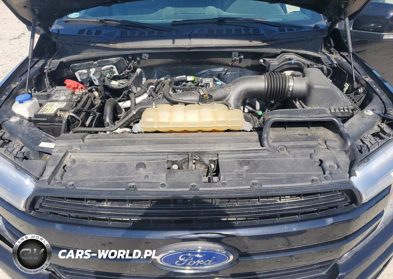 2020 Ford F150 Supercrew VIN:1FTEW1EPXLKD84300 - 11