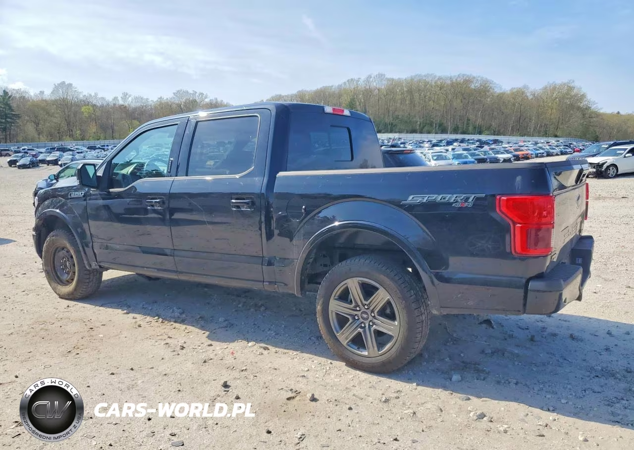 2020 Ford F150 Supercrew VIN:1FTEW1EPXLKD84300 - 2