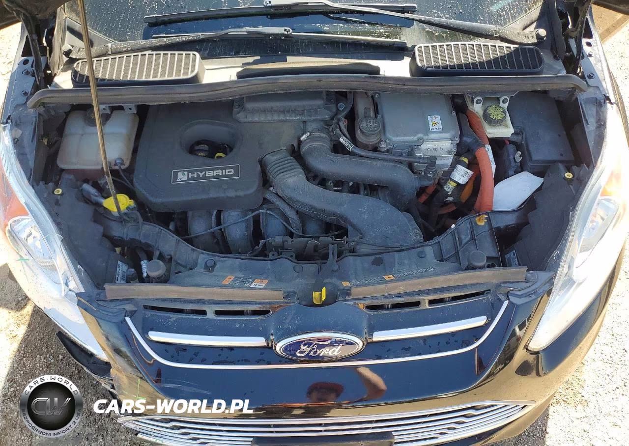 2014 Ford C-Max Sel VIN:1FADP5BU3EL501177 - 11