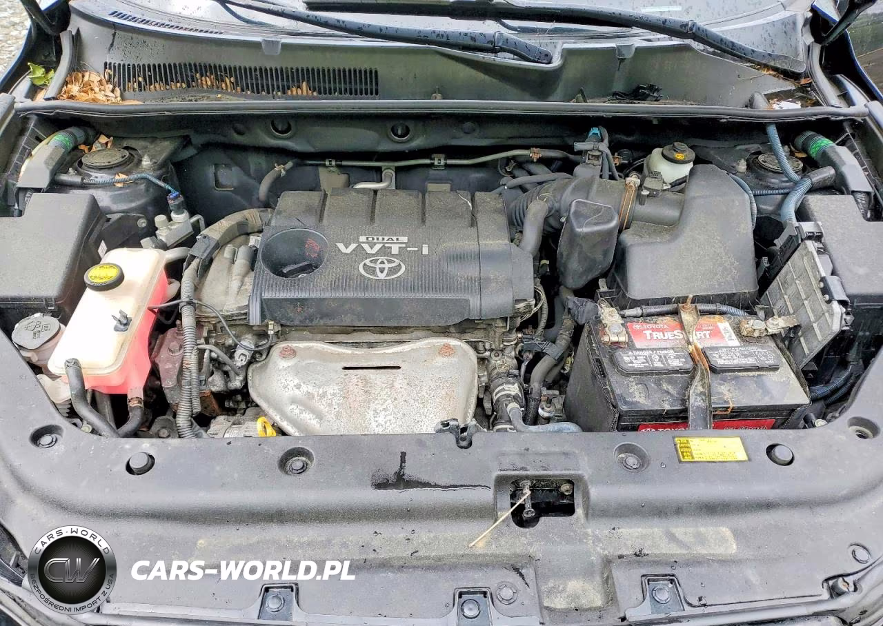 2009 Toyota Rav4 Base VIN:JTMBF33V095010270 - 12