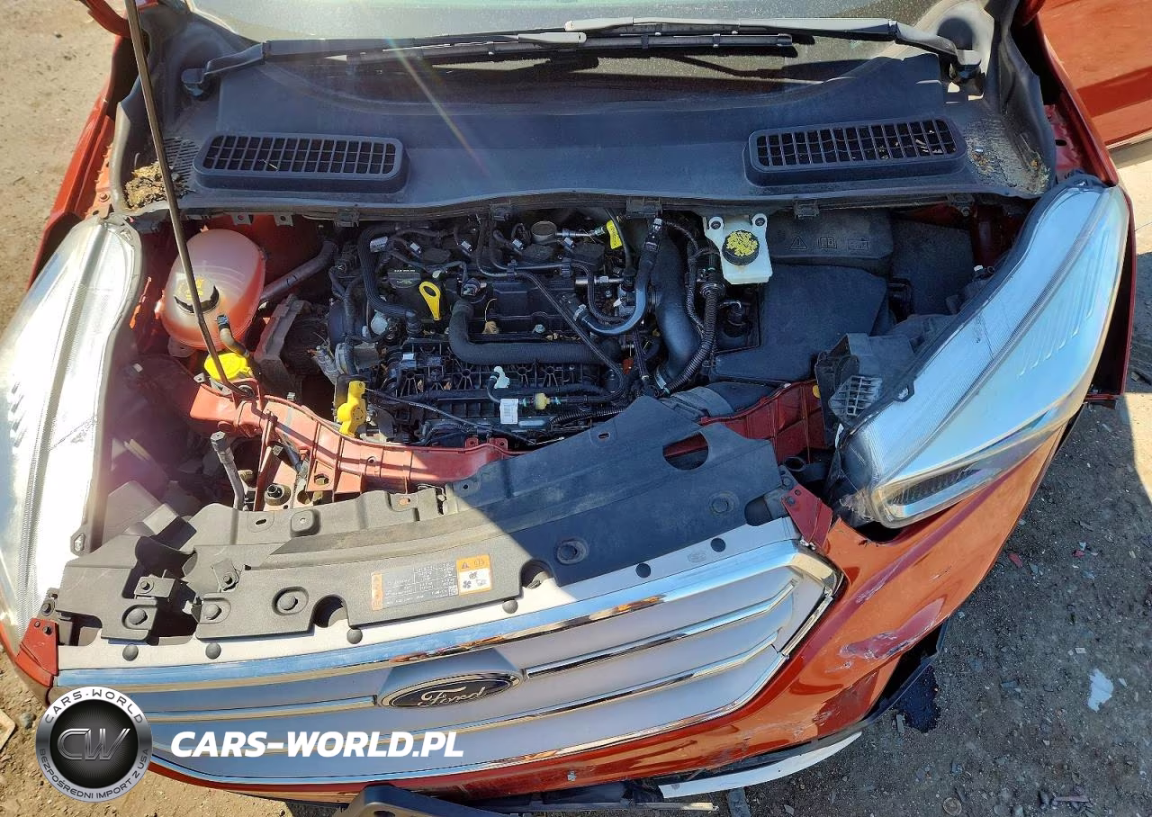 2019 Ford Escape Se VIN:1FMCU0GD3KUB48807 - 12
