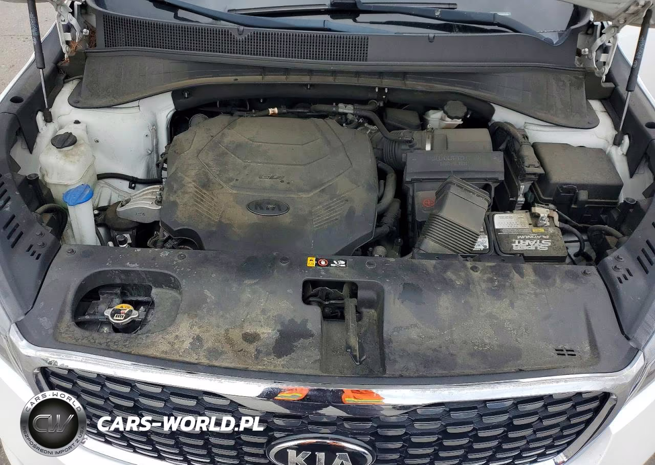 2019 Kia Sorento Sx Limited V6 VIN:5XYPK4A55KG564718 - 12