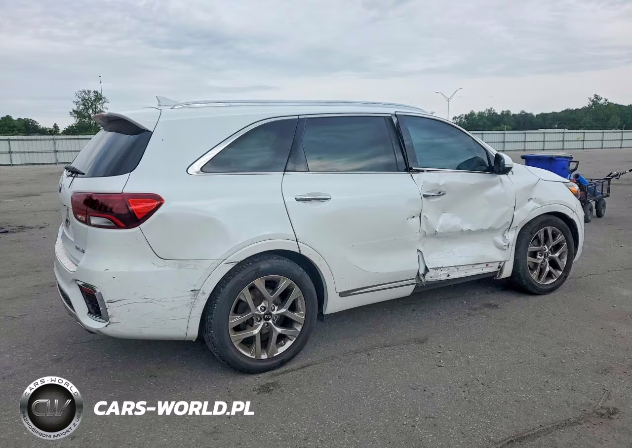 2019 Kia Sorento Sx Limited V6 VIN:5XYPK4A55KG564718 - 3