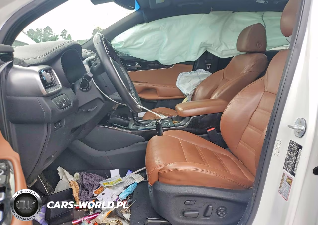 2019 Kia Sorento Sx Limited V6 VIN:5XYPK4A55KG564718 - 7