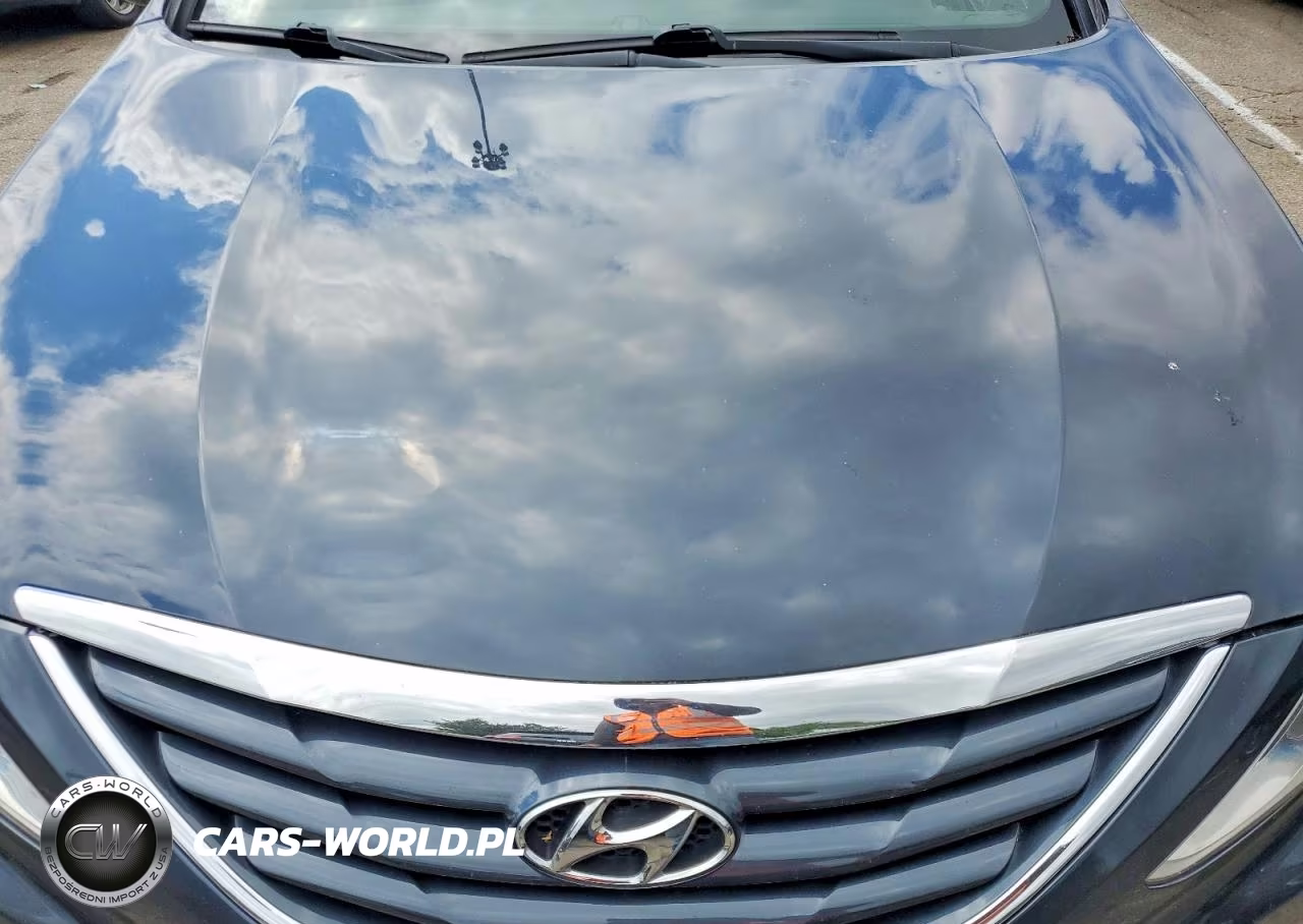 2013 Hyundai Sonata Gls VIN:5NPEB4AC2DH789292 - 11