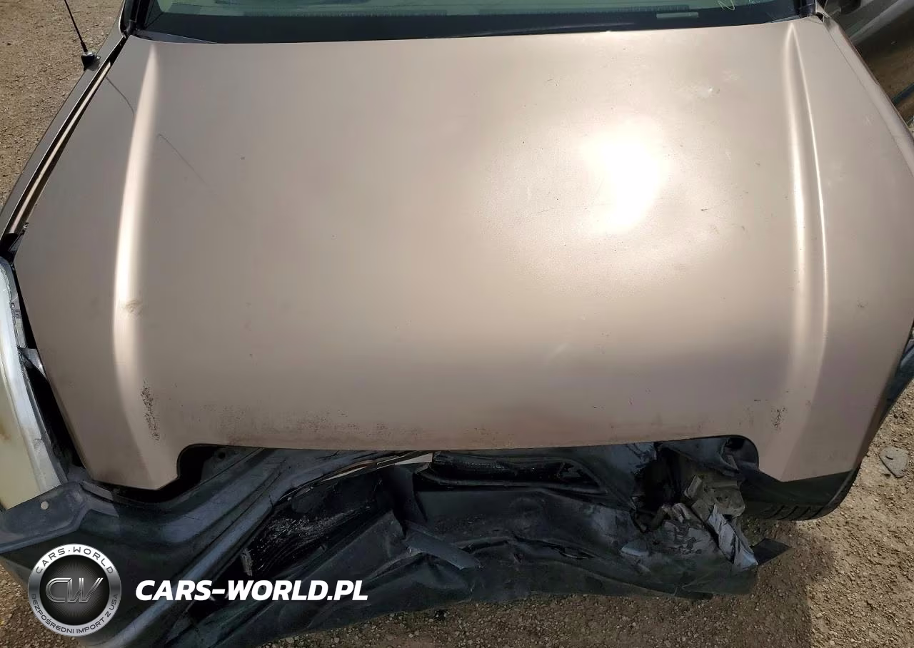 2002 Honda Cr-V Lx VIN:JHLRD68462C022286 - 11