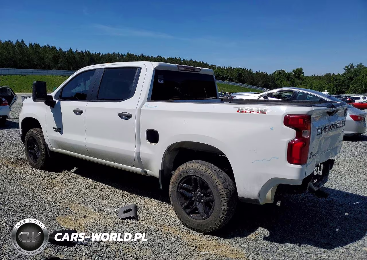 2021 Chevrolet Silverado K1500 Trail Boss Custom VIN:1GCPYCEF9MZ383914 - 2
