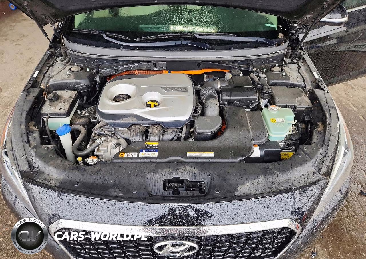 2016 Hyundai Sonata Hybrid Se VIN:KMHE24L1XGA036385 - 11