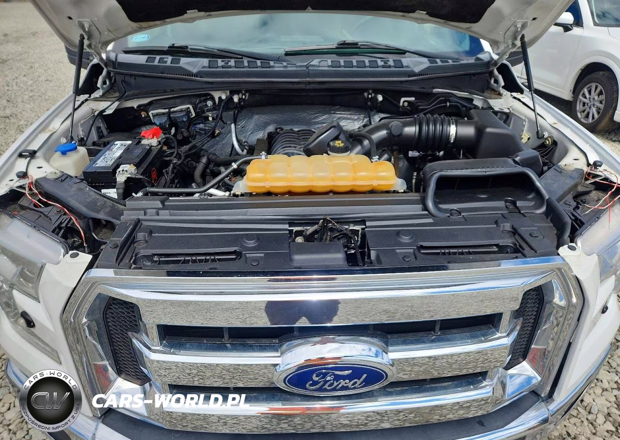 2016 Ford F150 Supercrew VIN:1FTFW1EF4GKF22351 - 11
