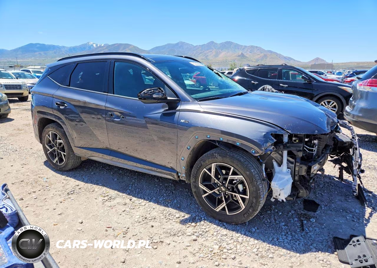 2025 Hyundai Tucson N Line VIN:KM8JFDD11SU384617 - 4