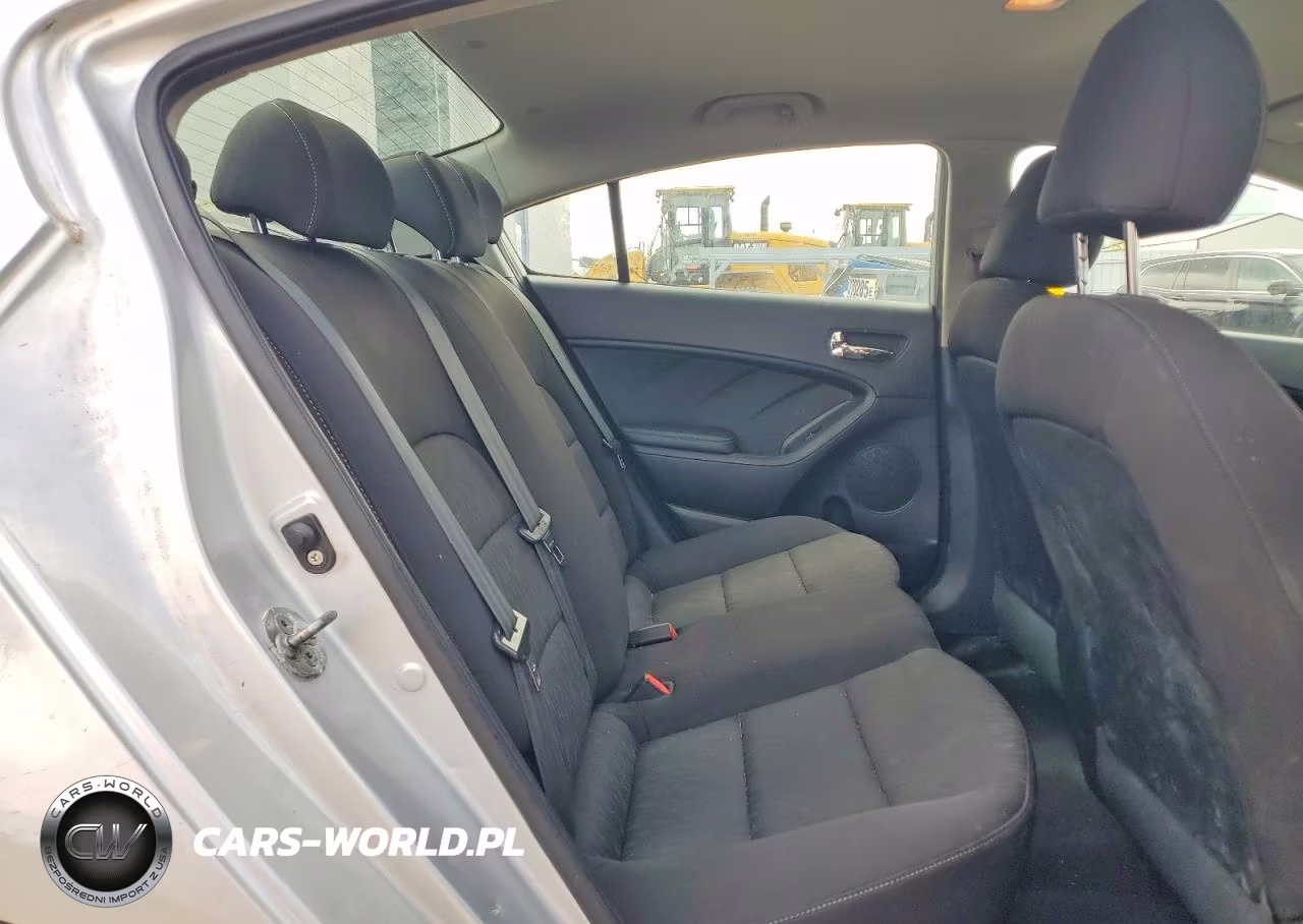 2016 Kia Forte Lx VIN:KNAFK4A6XG5492254 - 10