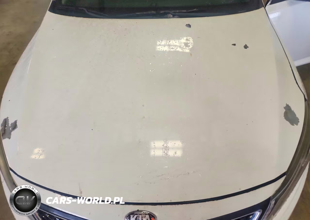 2015 Kia Optima Ex VIN:5XXGN4A72FG423172 - 11