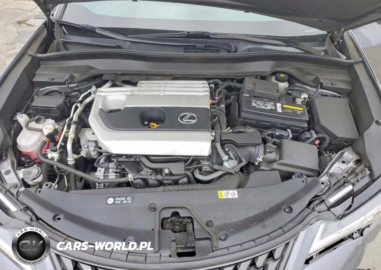2021 Lexus Ux 200 VIN:JTHX3JBH1M2036819 - 11