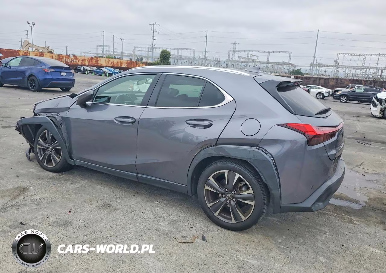 2021 Lexus Ux 200 VIN:JTHX3JBH1M2036819 - 2